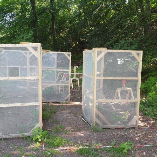 Soft-Air-Parcours mit Stellwänden und Poppern
